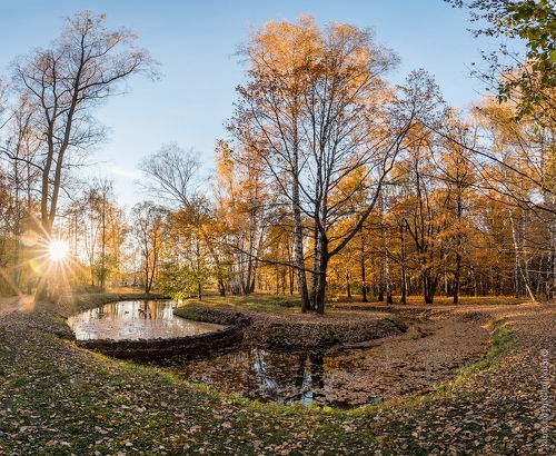 Золотая осень в Сокольниках