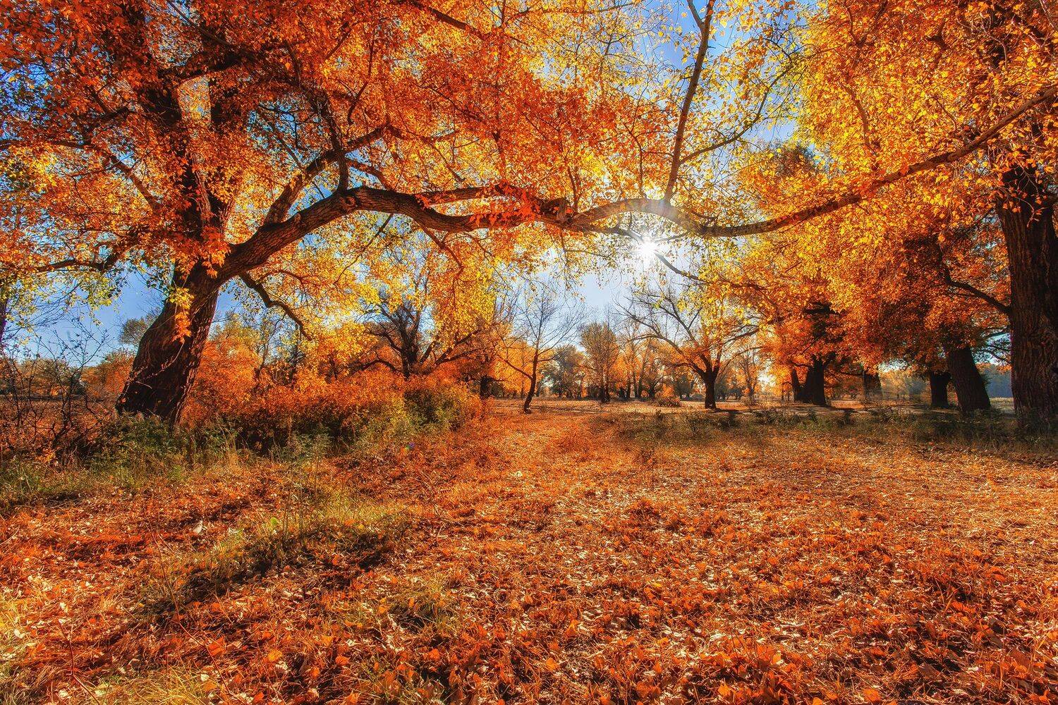 , Павел Сагайдак