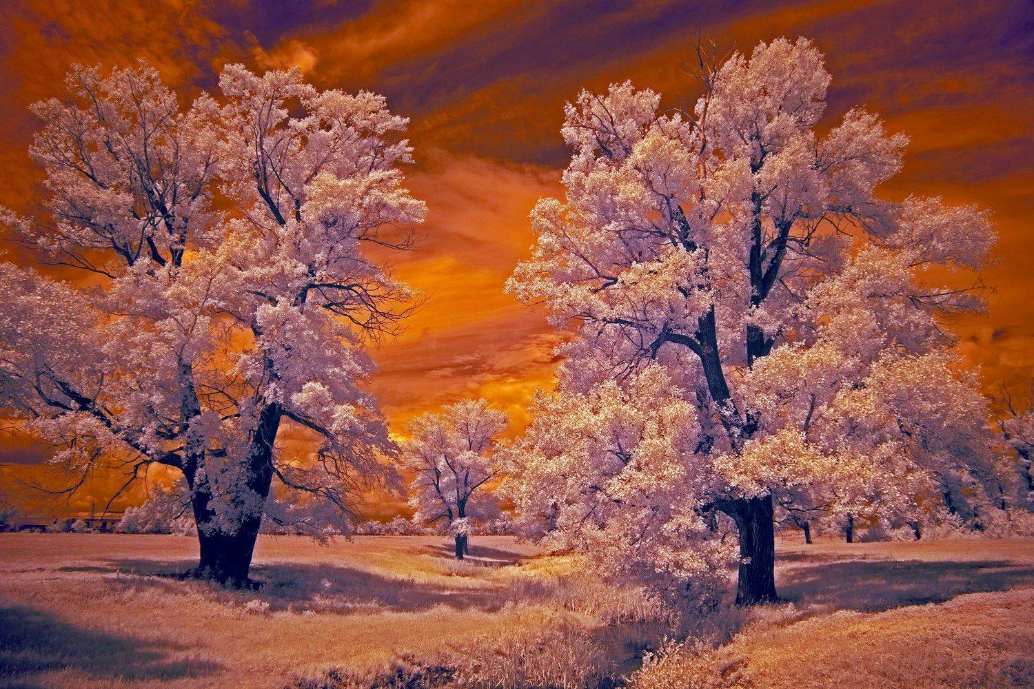  infrared, southural, orenburgregion, Олег_Грачёв, Oleg_Grachev,, Олег Грачёв