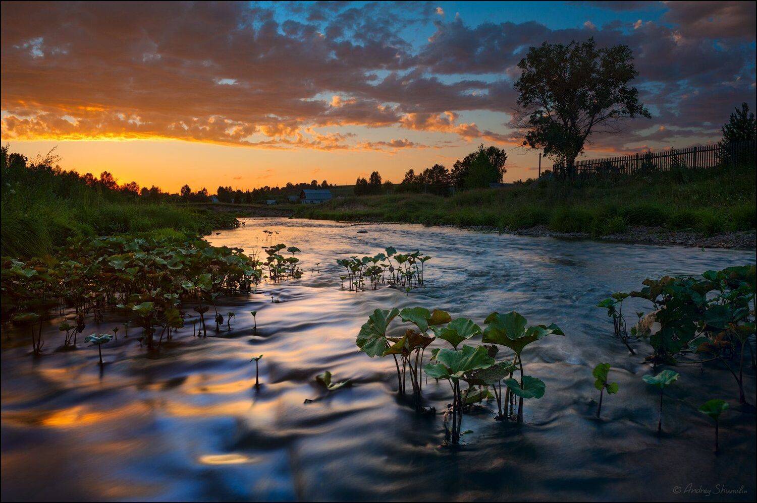 , Андрей Шумилин