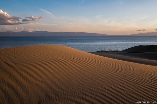 Золото Монголии 2