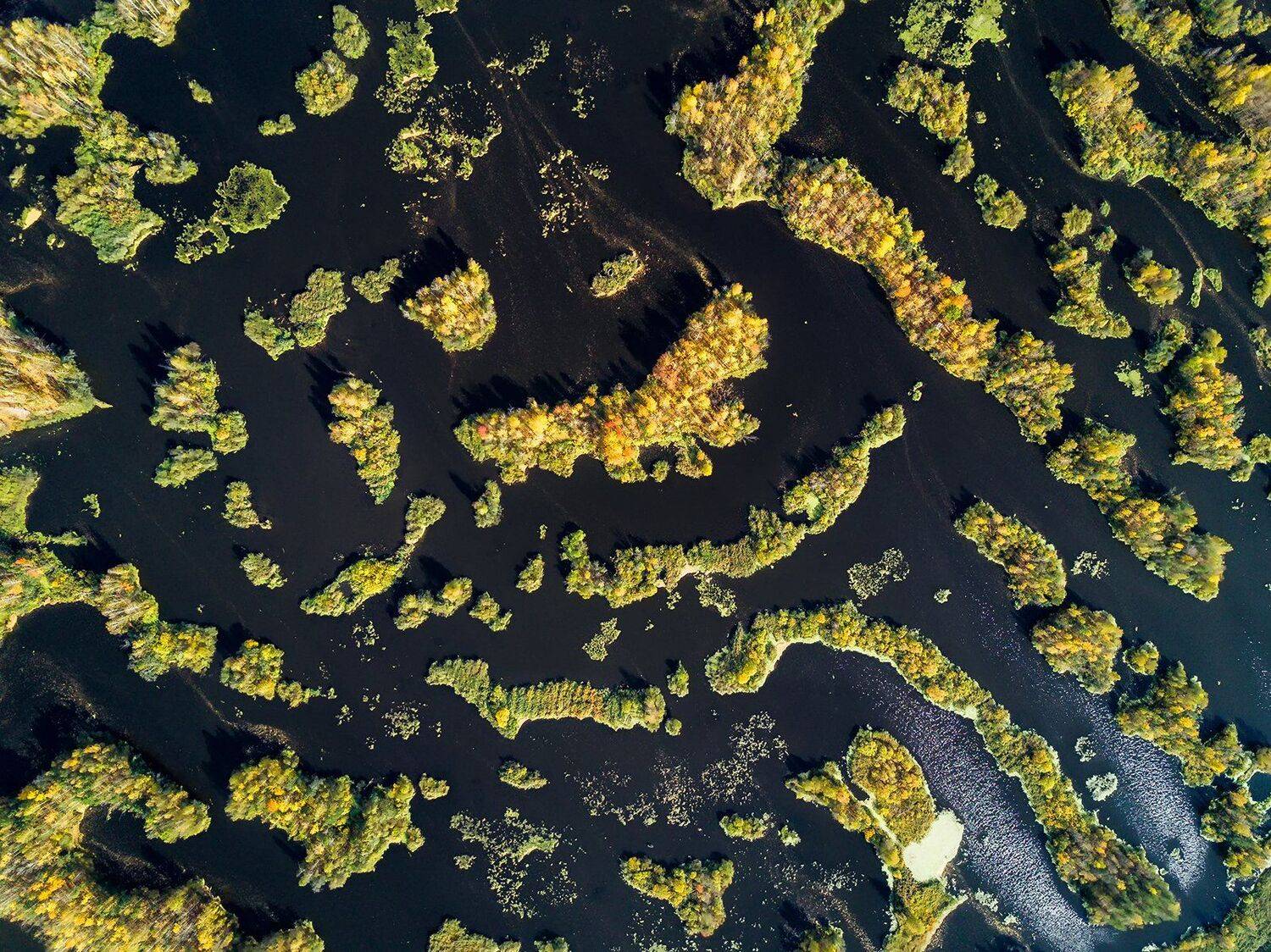 , Василий Яковлев