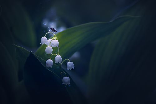 Ночной дозор.