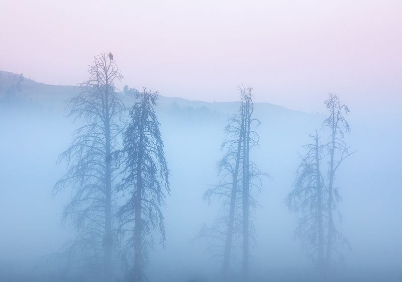 Under a Watchful Eye фото превью