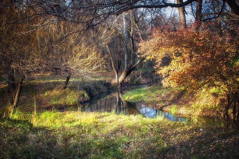 осень, Элина Магалимова