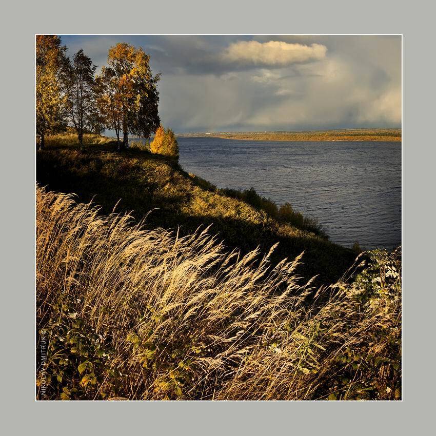 пейзаж, николай дмитрук