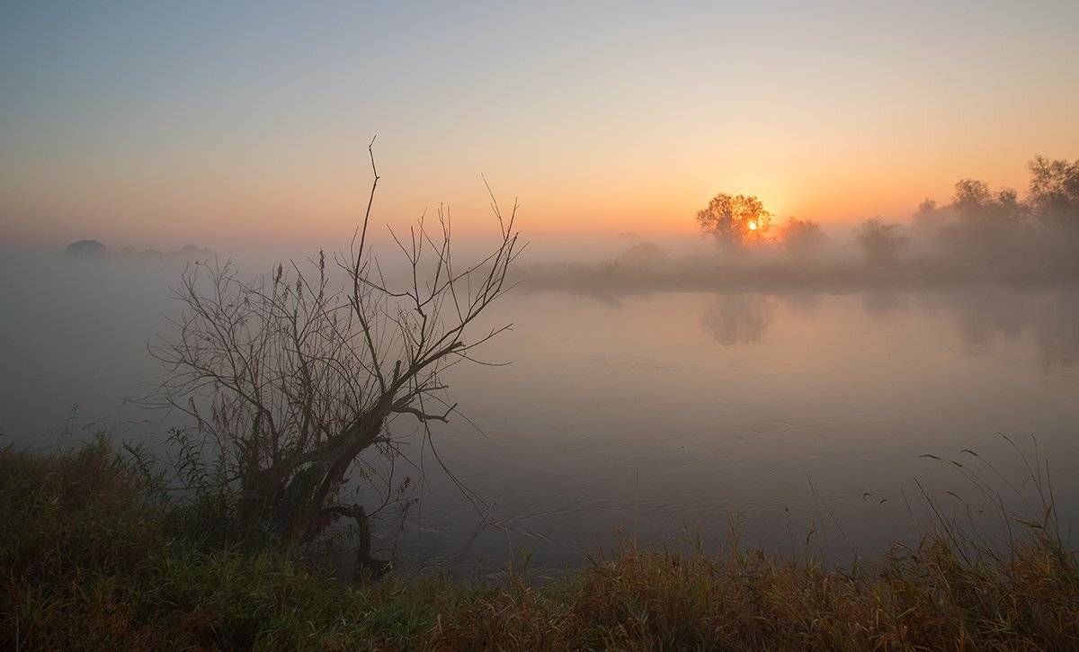 , Pawel Plucinski