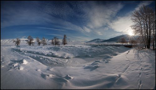 Утро в Курайской Степи