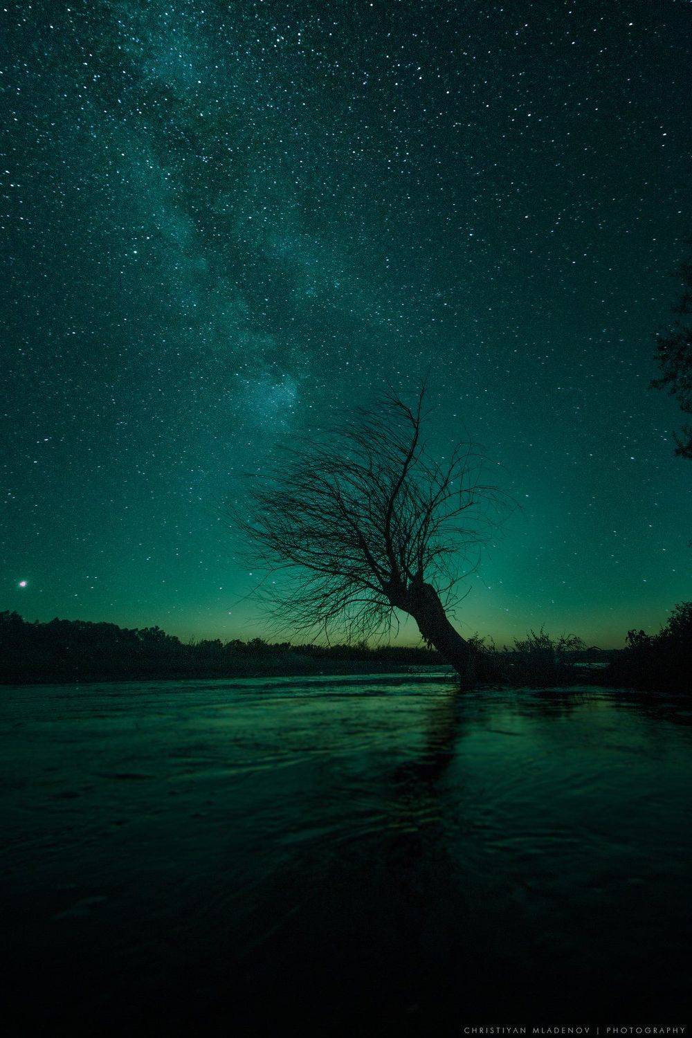 night. astrophotography, astronomy, tree, cosmos, lonely, nightscape, river, milky way, galaxy, milkyway, space, stars, sky, bulgaria, nature, light, long exposure, vertical, astroscape, Кристиян Младенов