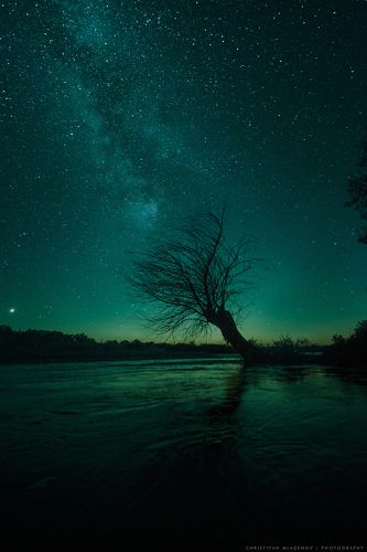 Forgotten World | Забравен Свят