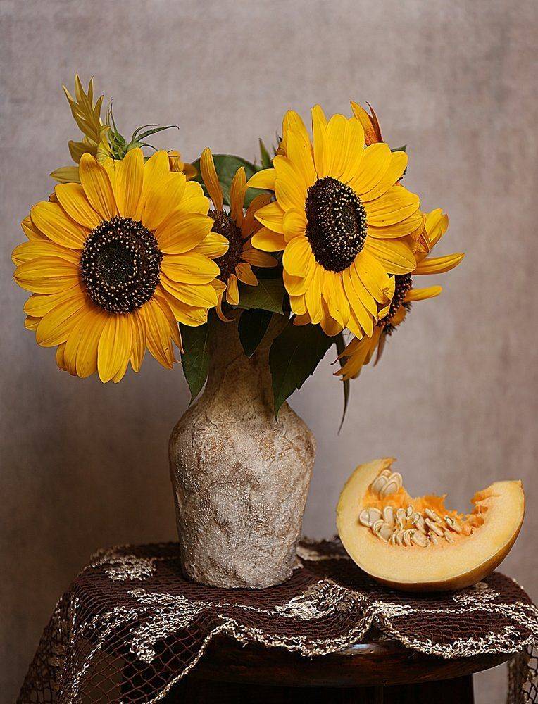 słoneczniki, dynia, jesień, martwa natura ,, Ela Drzazga