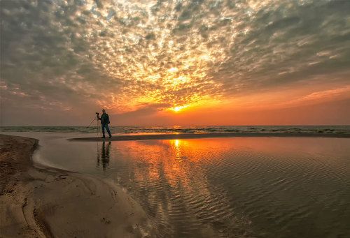 Sunset gold