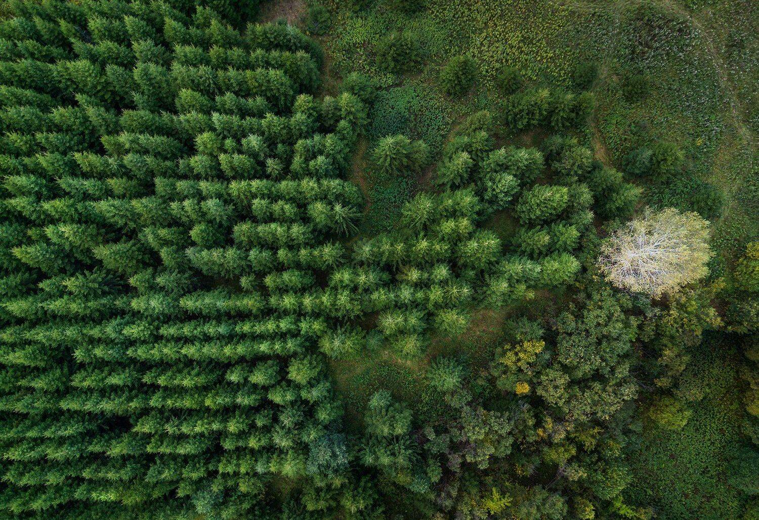урал, осень, дрон, Василий Яковлев