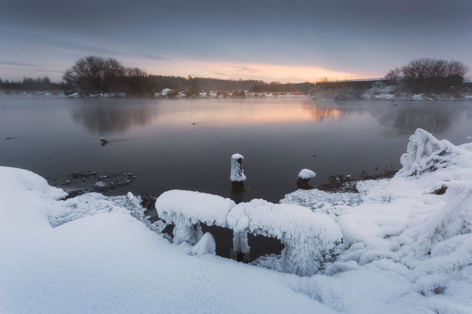 , Игорь Криницын