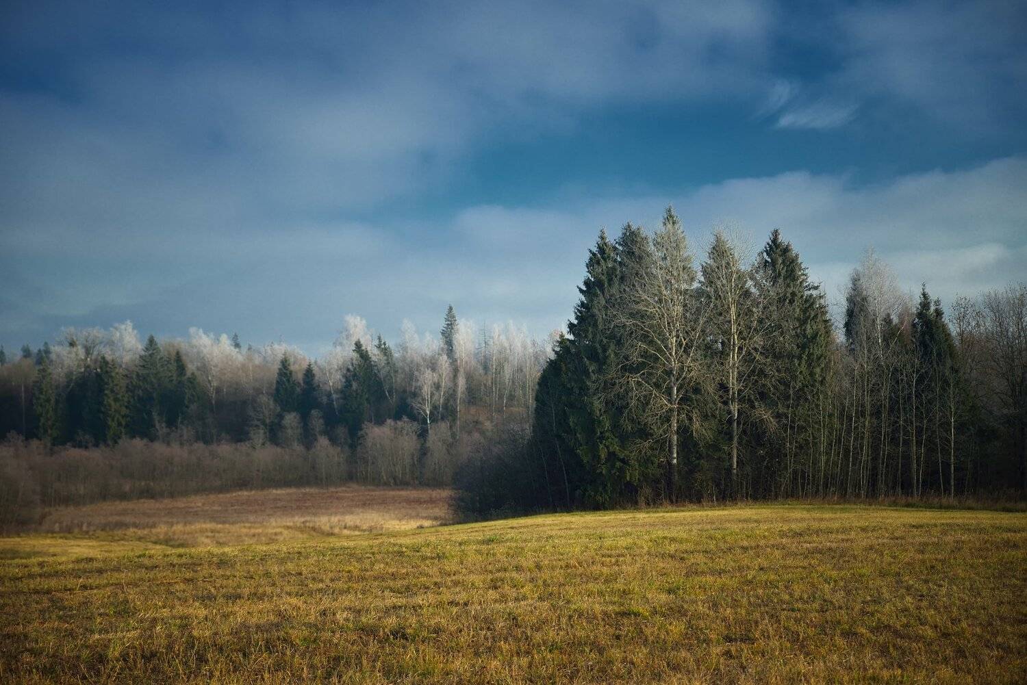 , Алексей Никонов