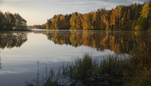 Золотая осень