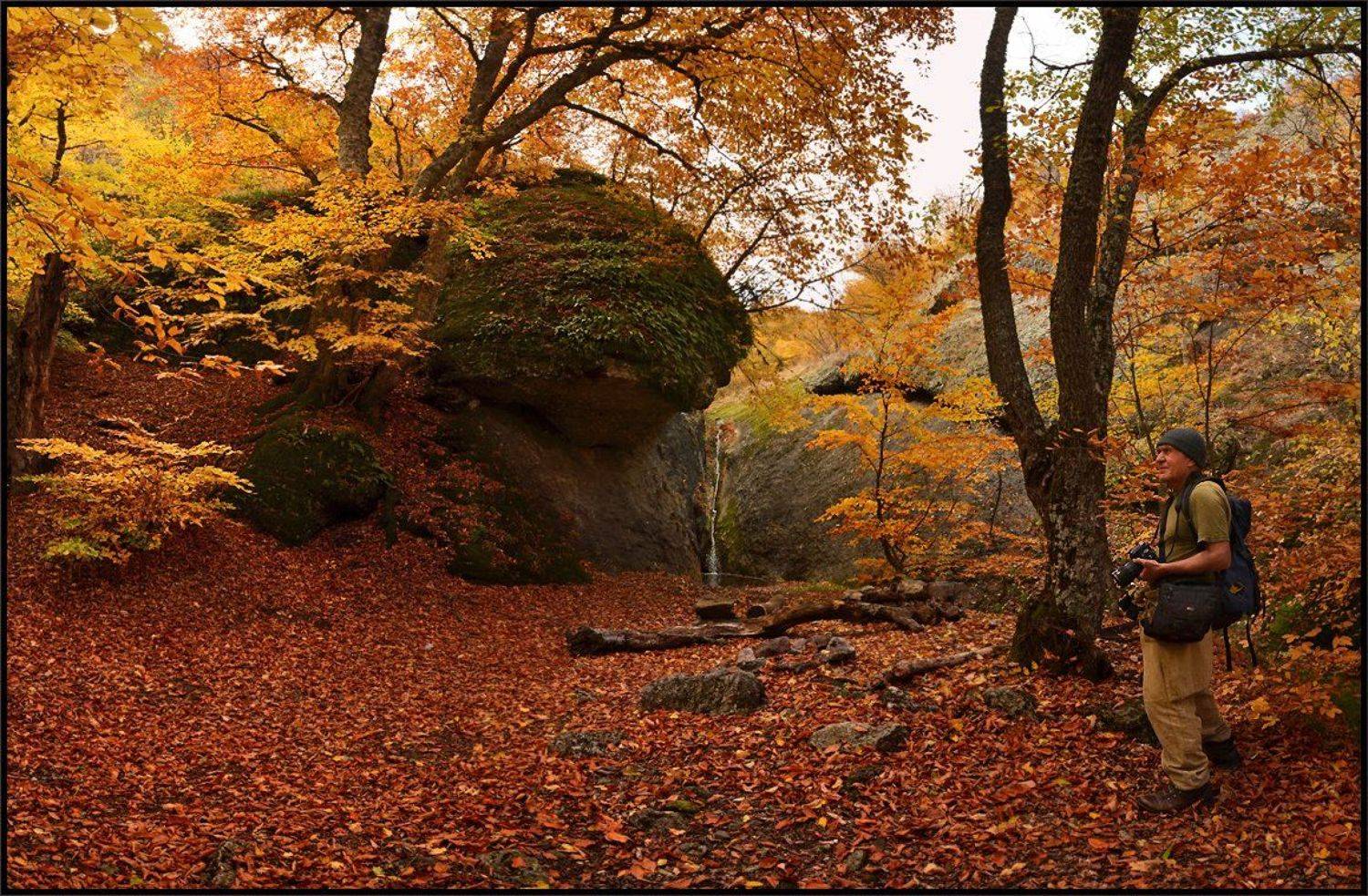 , Владимир Метцгер