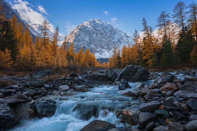 алтай, актру, осень, река, горы Золотой Актру фото превью