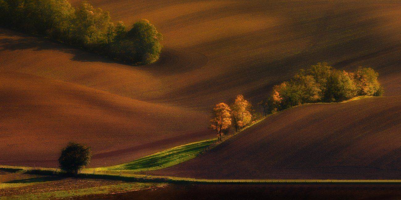 hills, autumn,colours,trees,sunset, Marek Biegalski