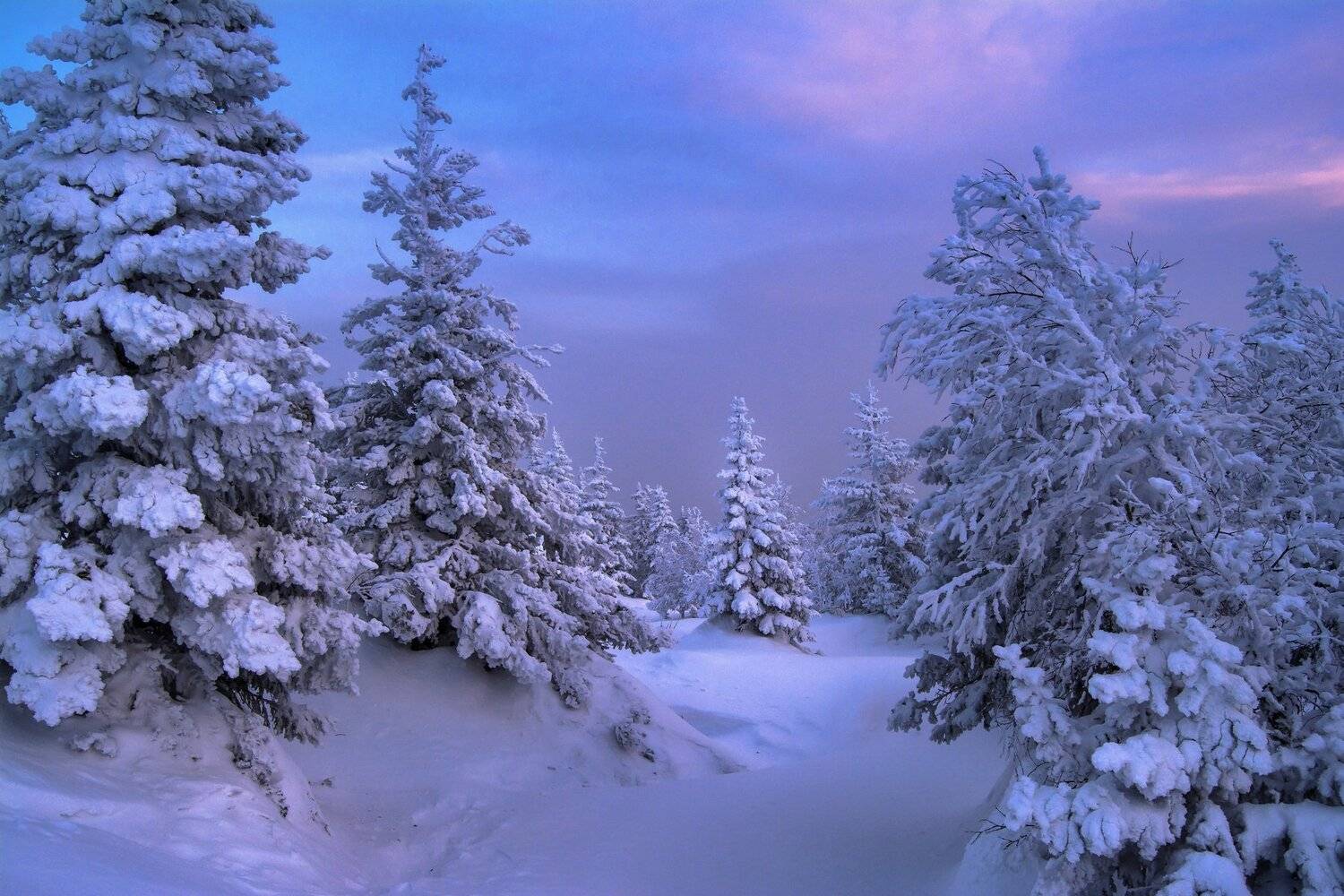 , Андрей Шарапов