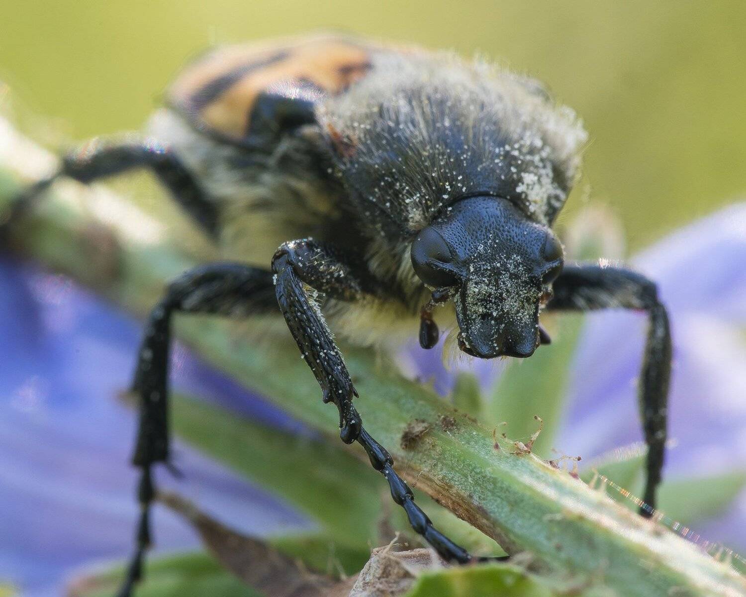 , Кузнецов Дмитрий