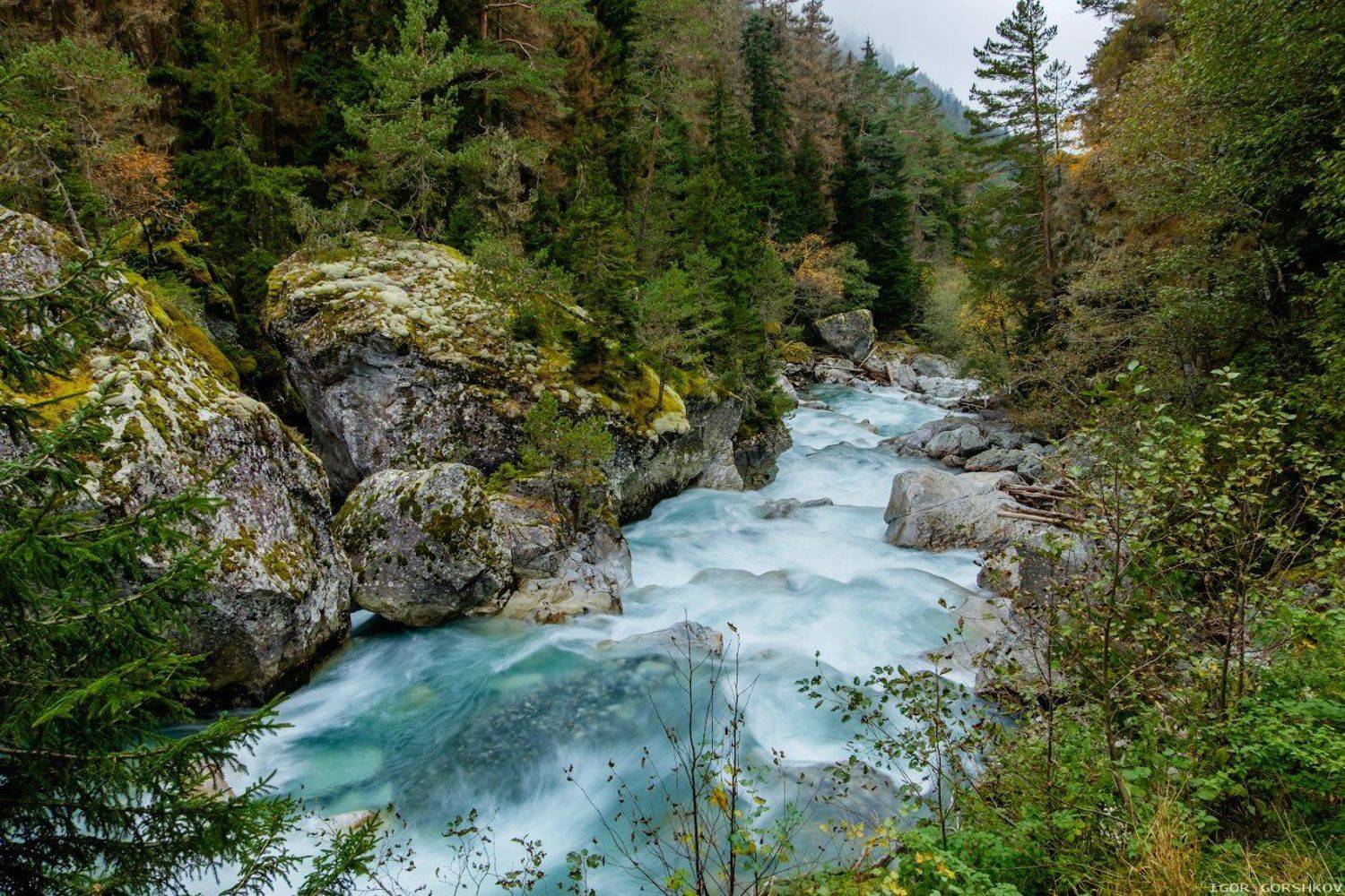 кавказ,домбай,горы,осень,лес,пейзаж,природа,камни,ущелье,гоначхир,река,, Горшков Игорь