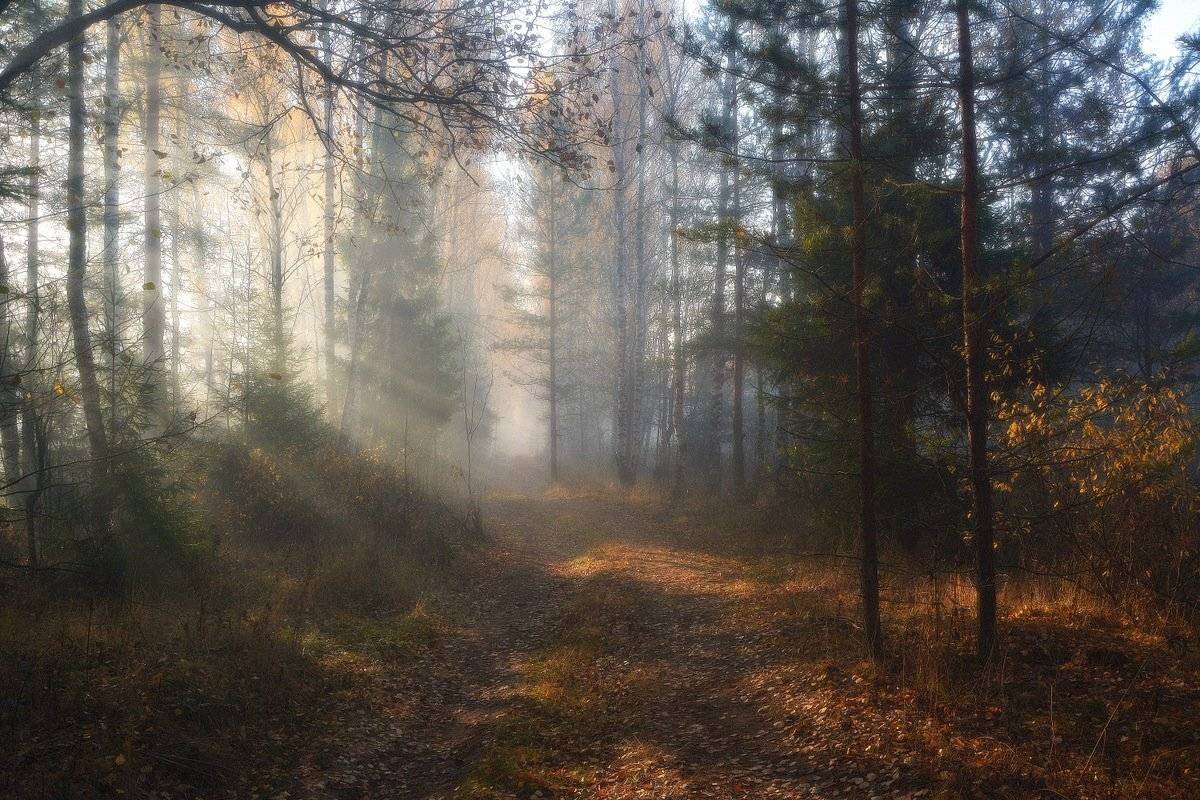 сергей алексеев, фото, Сергей Алексеев