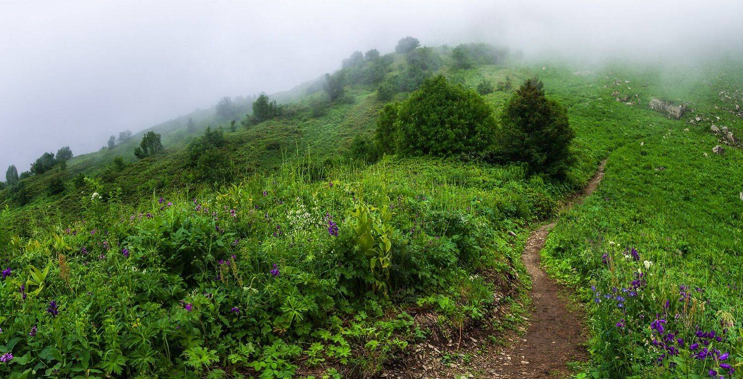 , Игорь Мелекесцев