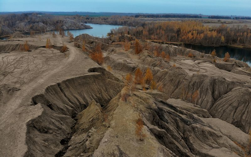 Рельеф и Березки фото превью