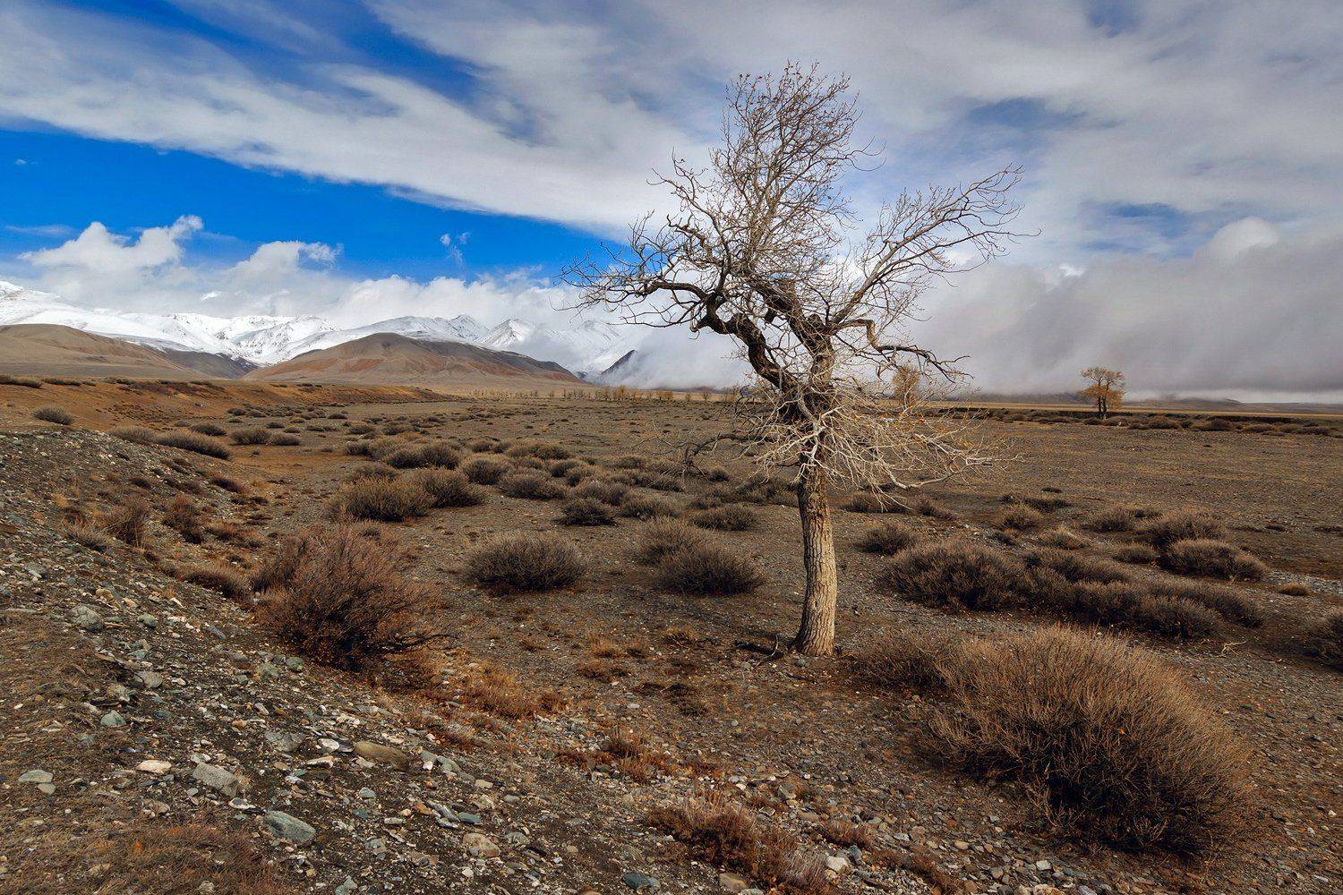 , Дмитрий Д.