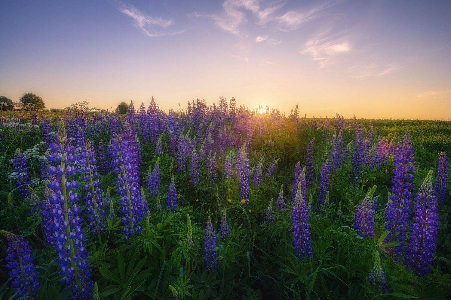 , Устюжанин Михаил