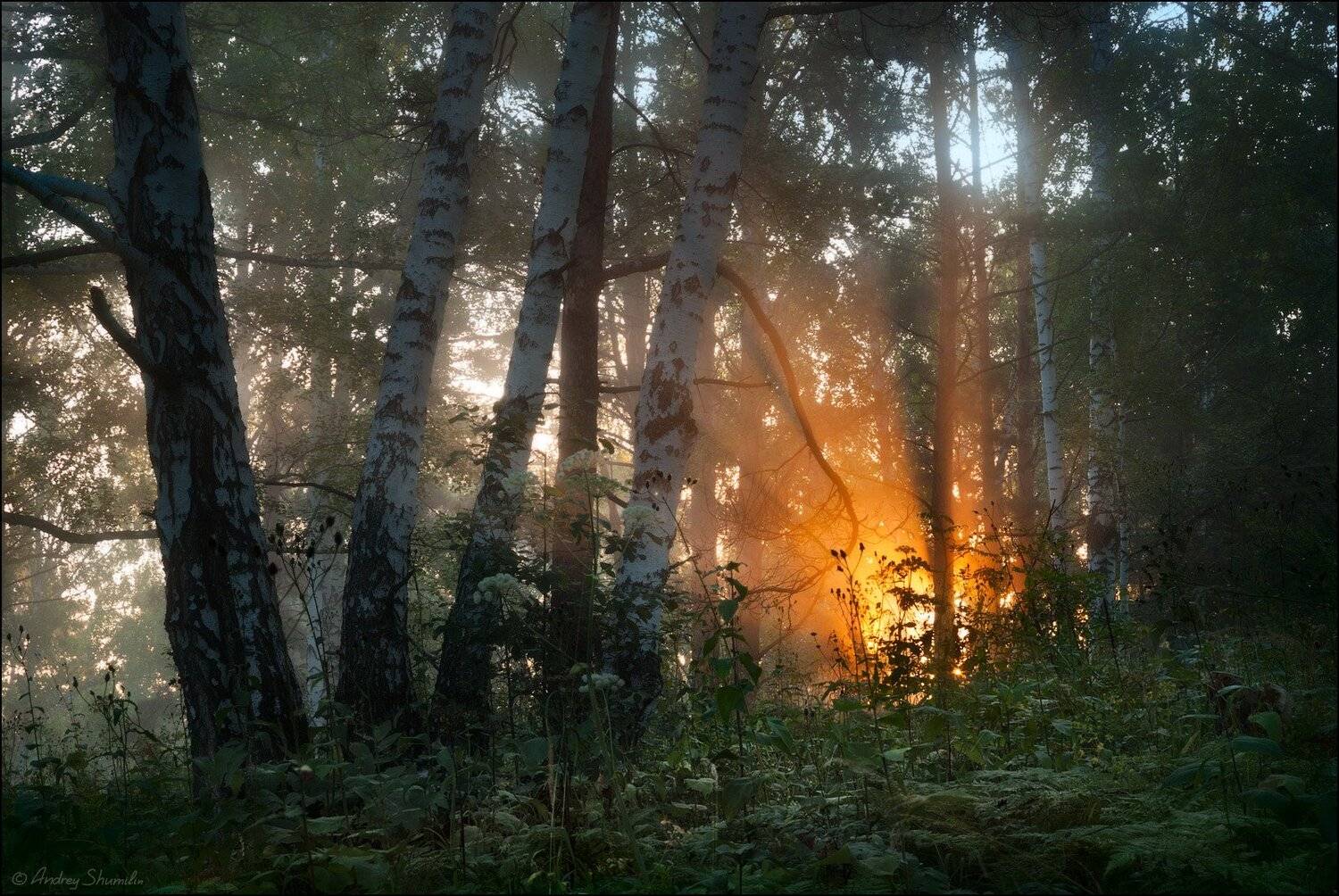 , Андрей Шумилин