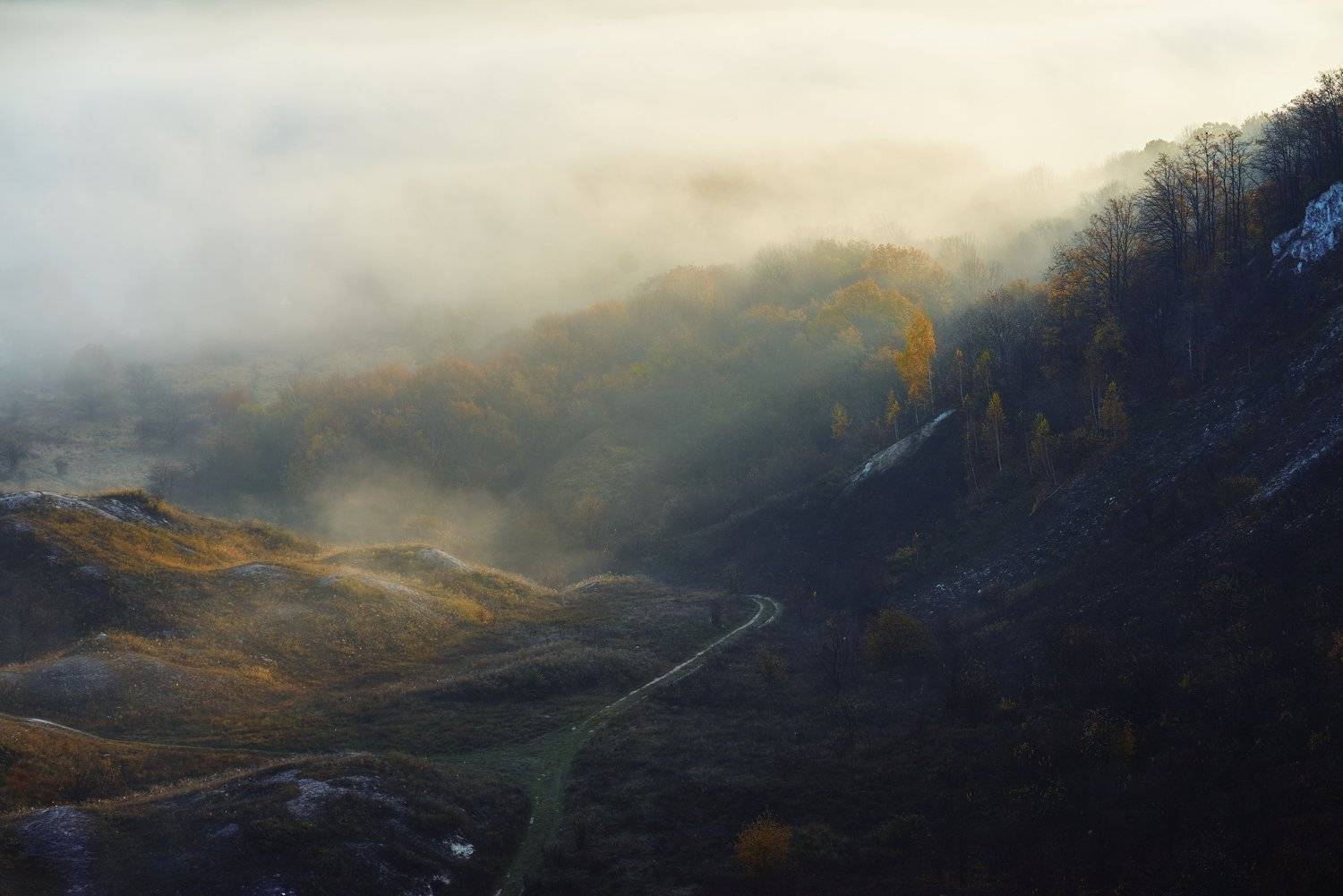 воронеж, Сячин Саша