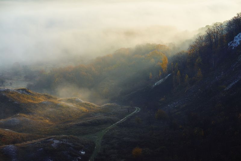 воронеж Утренний туман фото превью