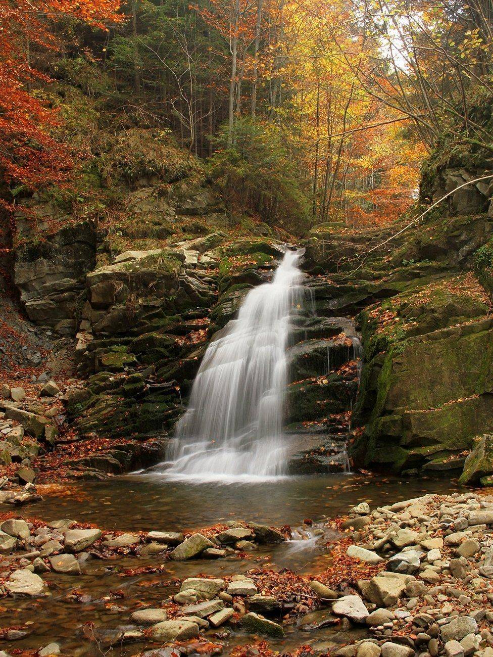 , Krzysztof Tomasiak