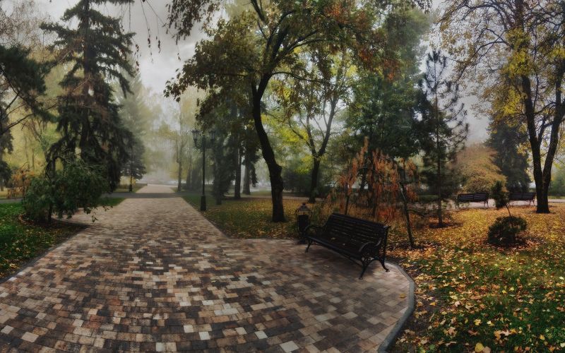 ставрополь, утро, осень, сквер По дороге на работу фото превью