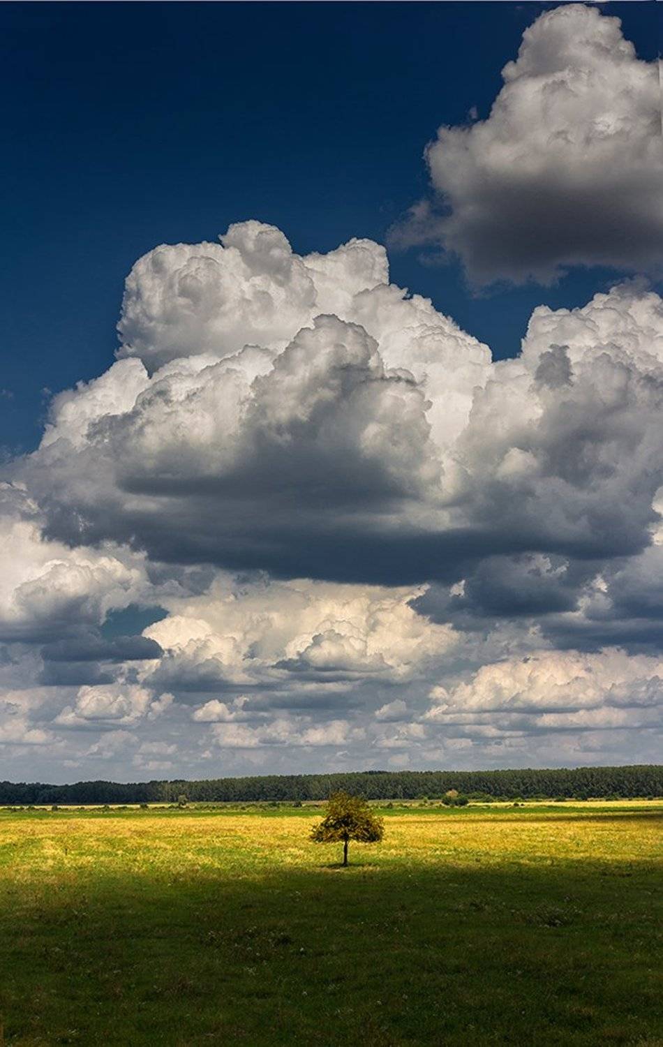 , Сергей Мироненко