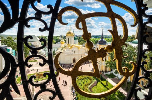 Сквозь решетку