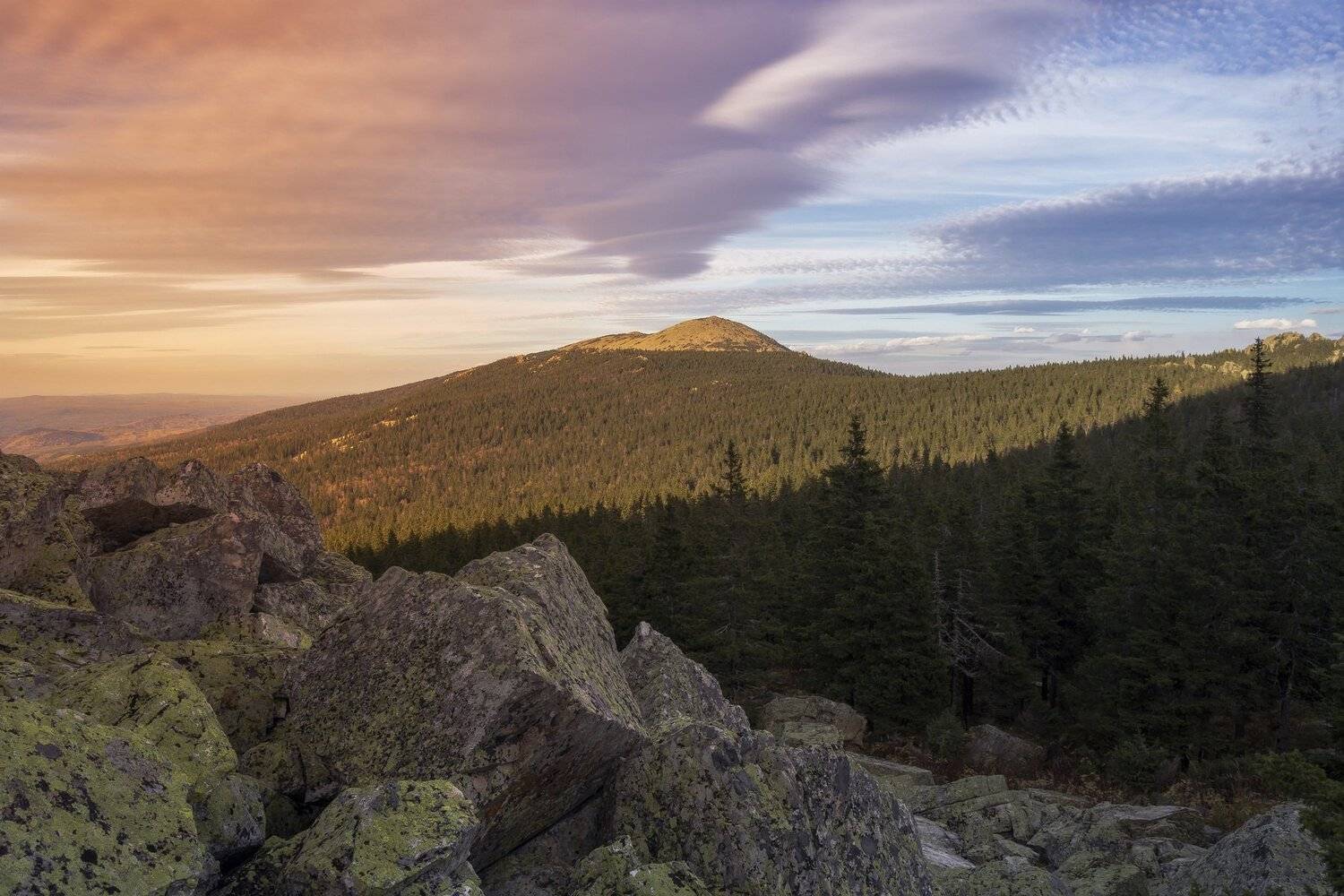 , Андрей Шарапов
