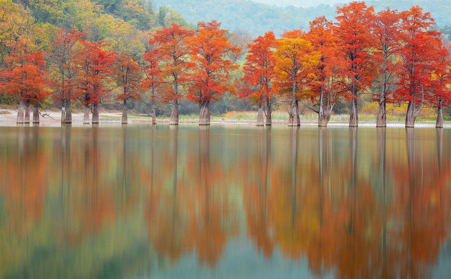 , Александр Костенко