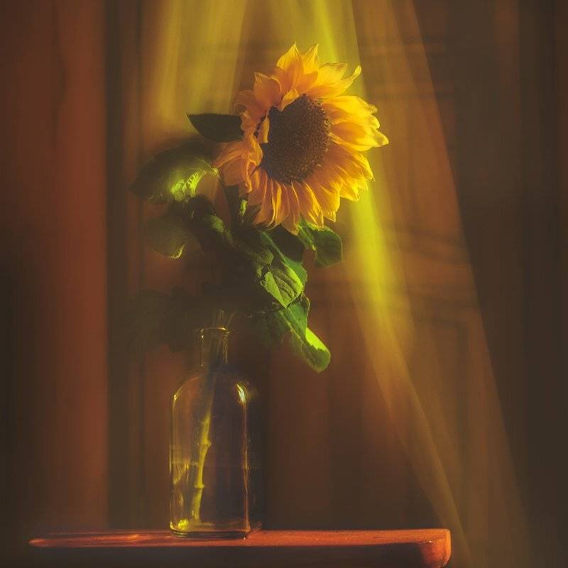 , Татьяна Аверина