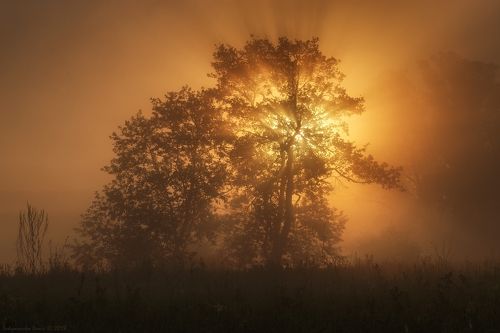 Волшебство майского утра