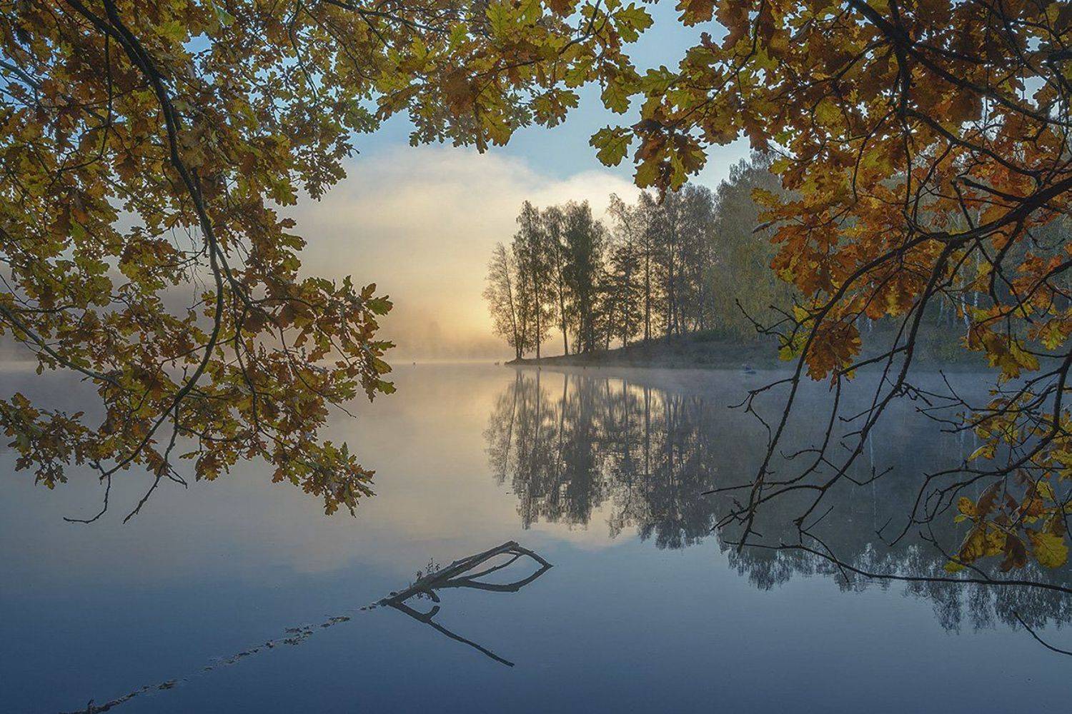 , Анатолий Зверев