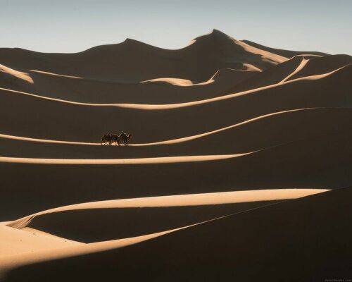 The Silk Road