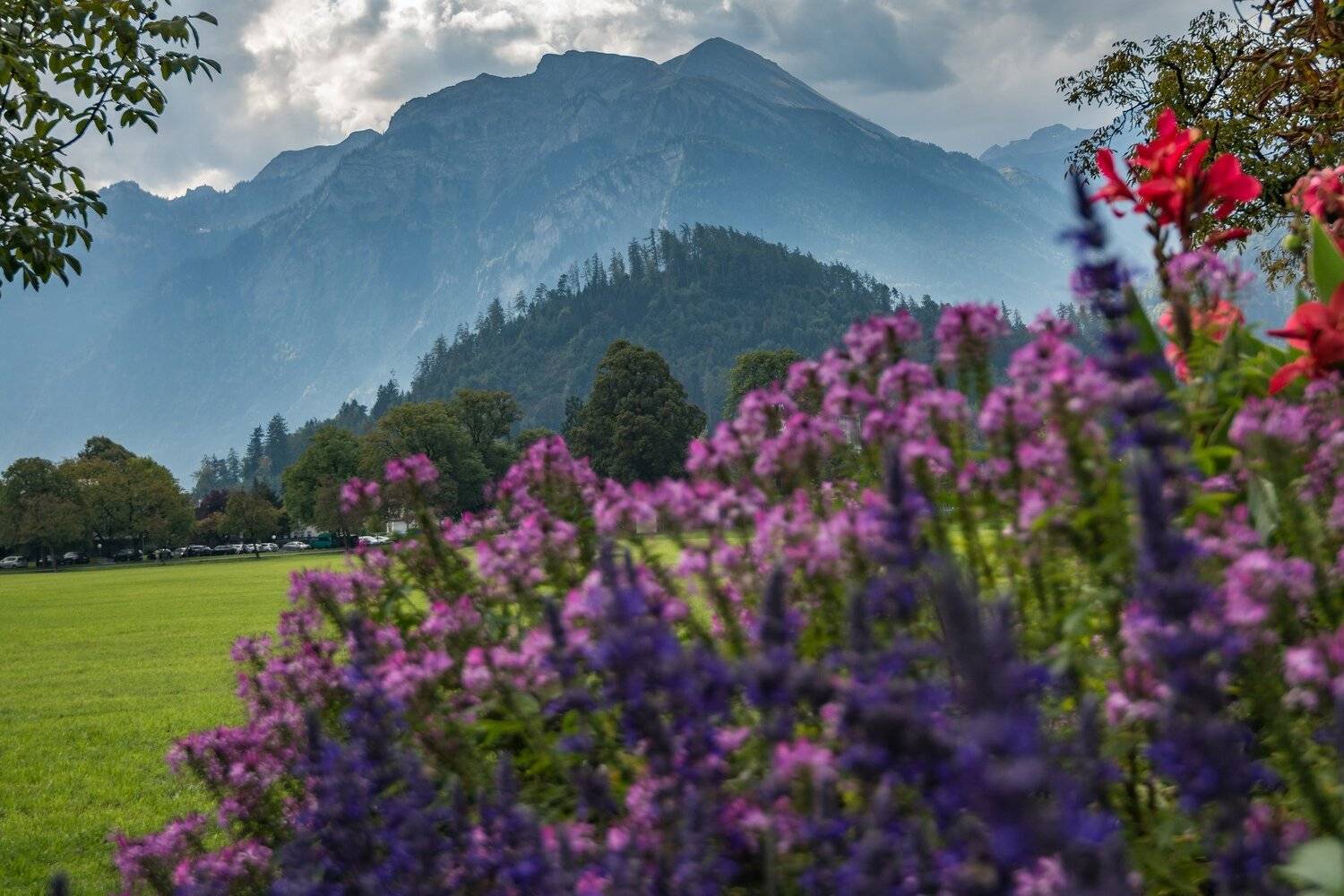 , Юрий Пужалин