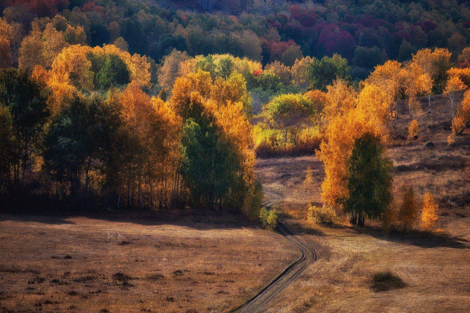 , Павел Сагайдак