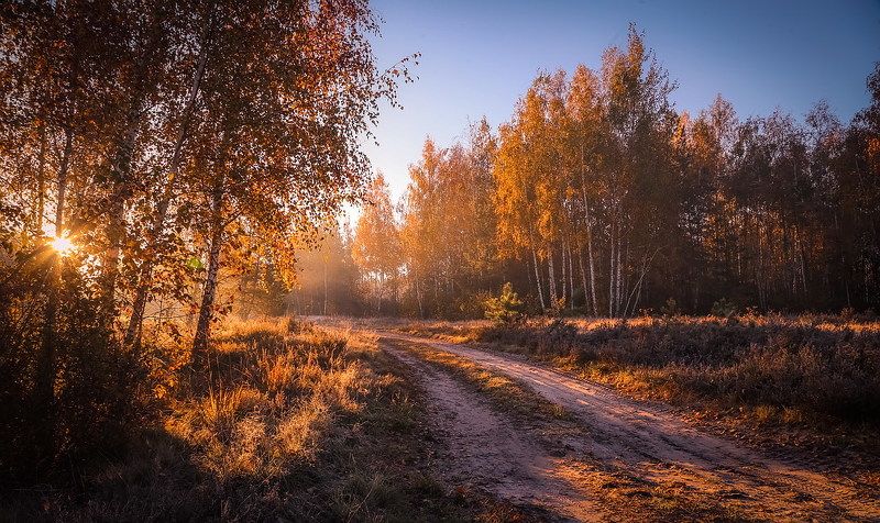 Разгуливает осень фото превью