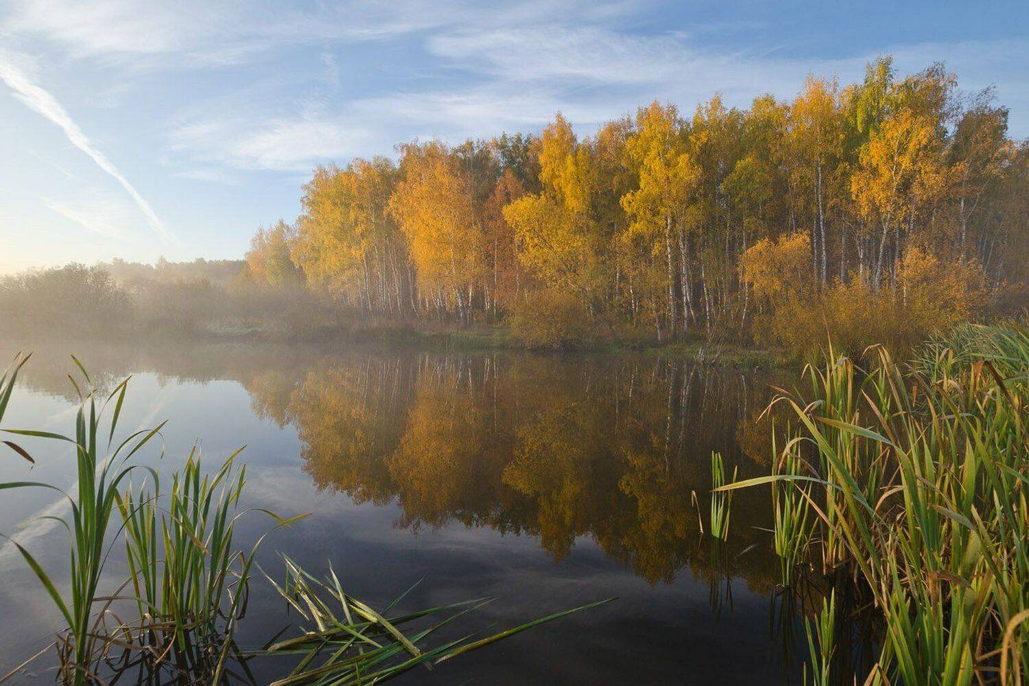 осень, природа, пейзаж, архангельское, Михаил Агеев