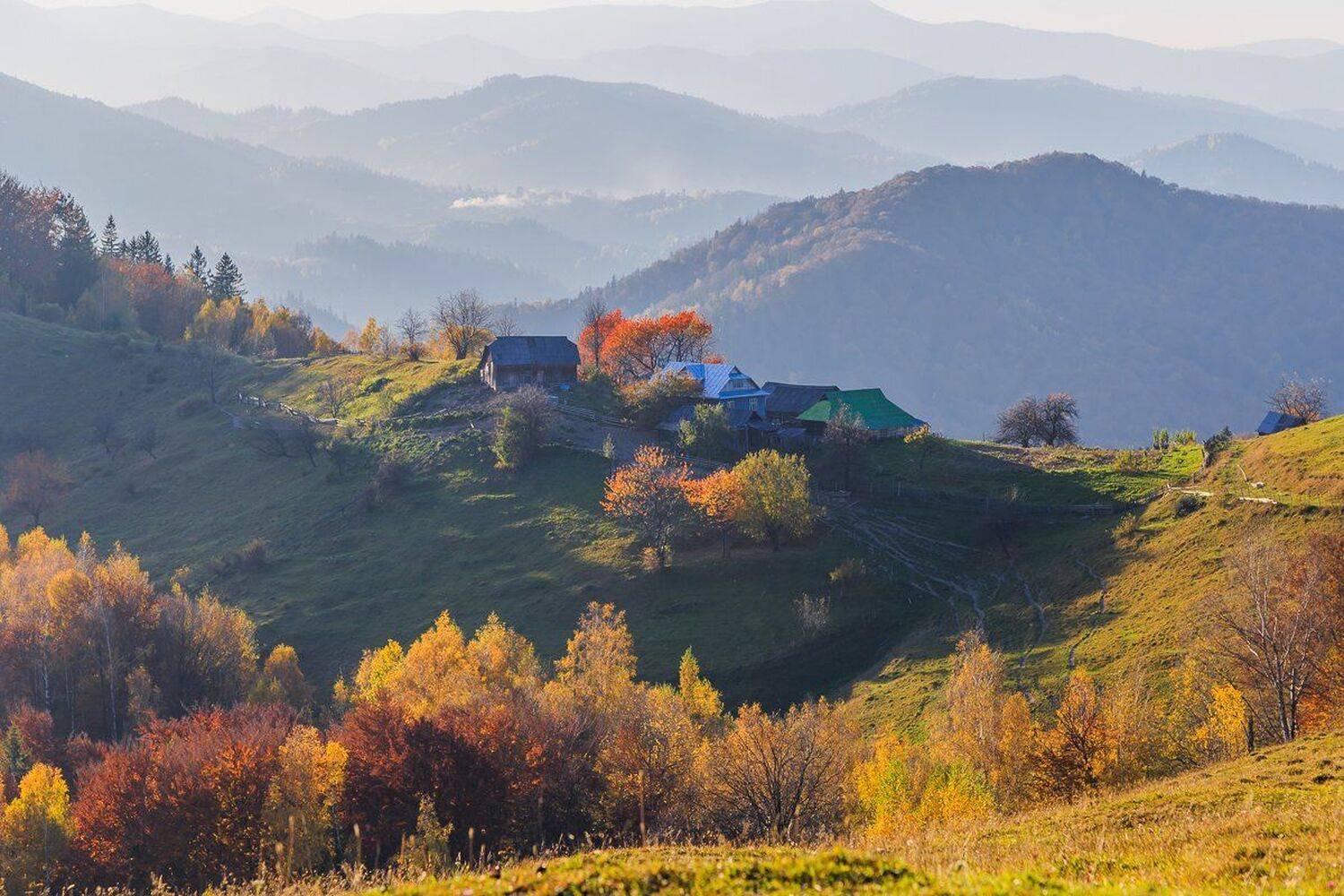 , Александр Подрез