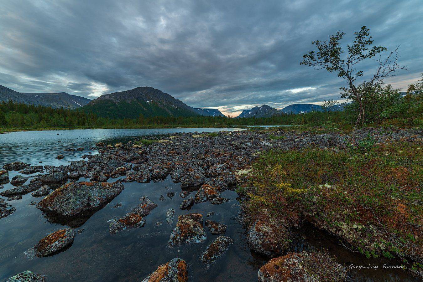 хибины, лето, кольский, заполярье, север, ночь, полярный день,, Роман Горячий